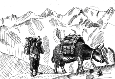 Annapurna sunrise trek