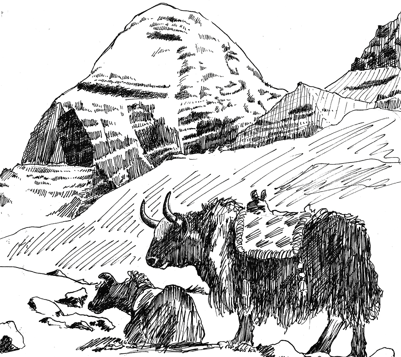 Hunting At Dhorpatan