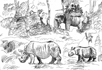 MAGNIFICENT NEPAL TOUR